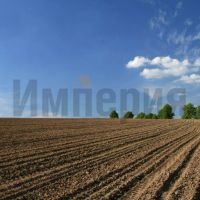 Land Свинцовка село, ШКОЛЬНАЯ